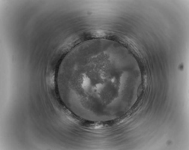 X0000099500267200805221407