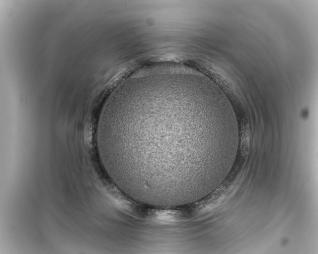 X0000099500268200805221407