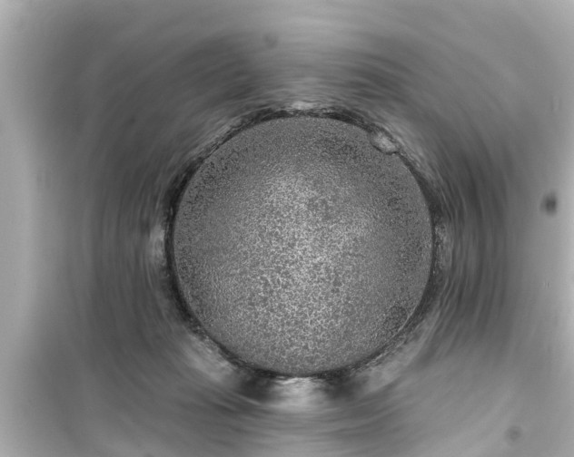 X0000099500269200805221407