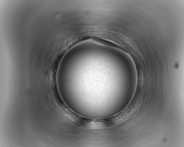 X0000099500270200805221407