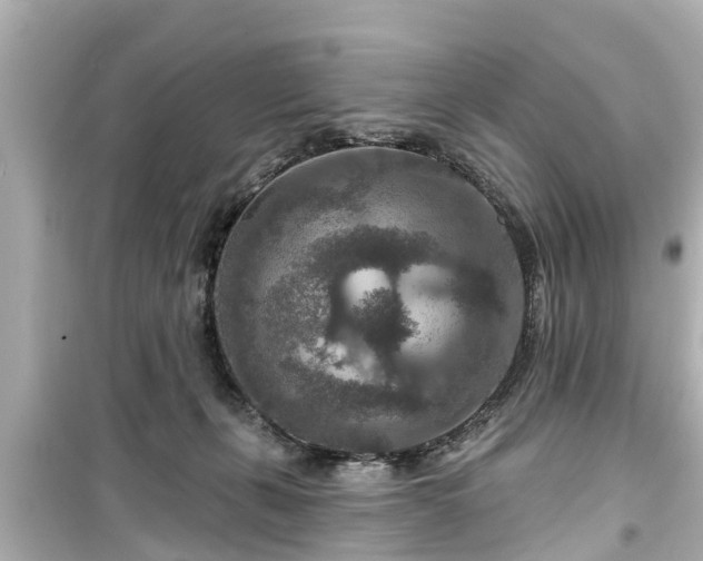 X0000099500271200805221407