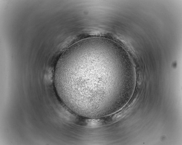 X0000099500273200805221407