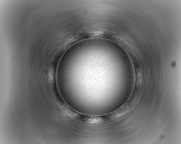 X0000099500274200805221407