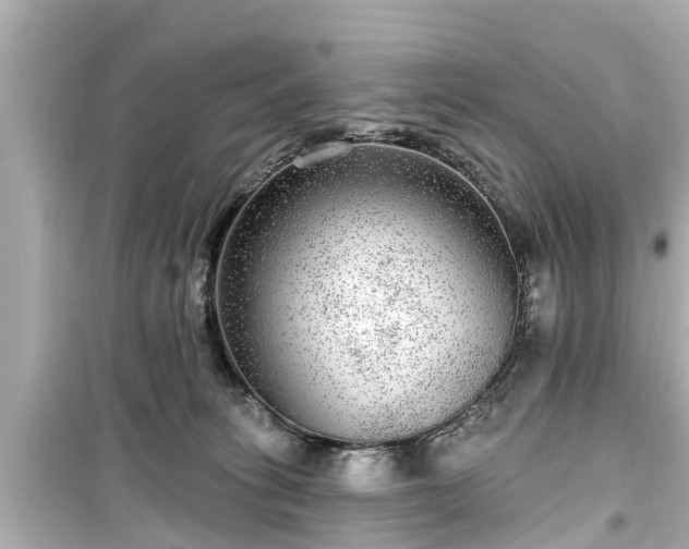 X0000099500275200805221407