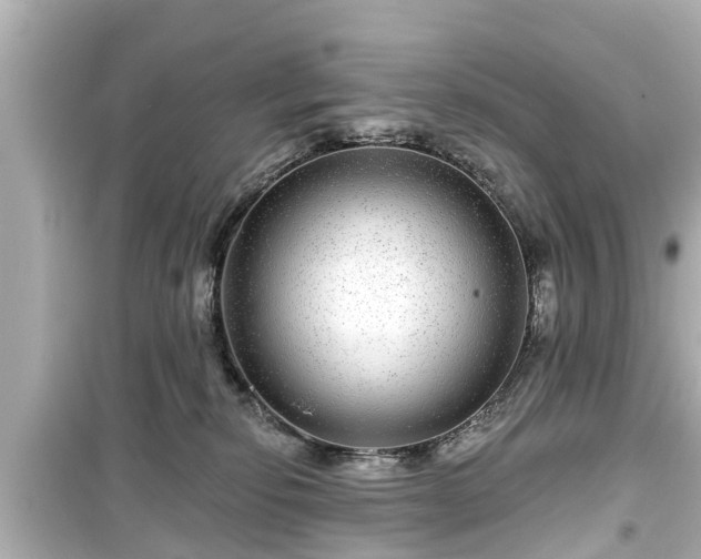 X0000099500278200805221407