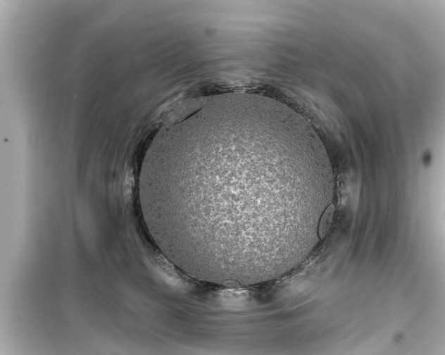 X0000099500279200805221407