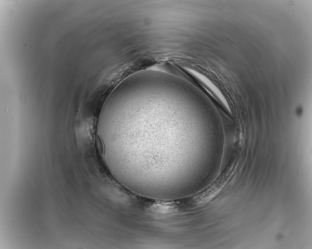X0000099500280200805221407
