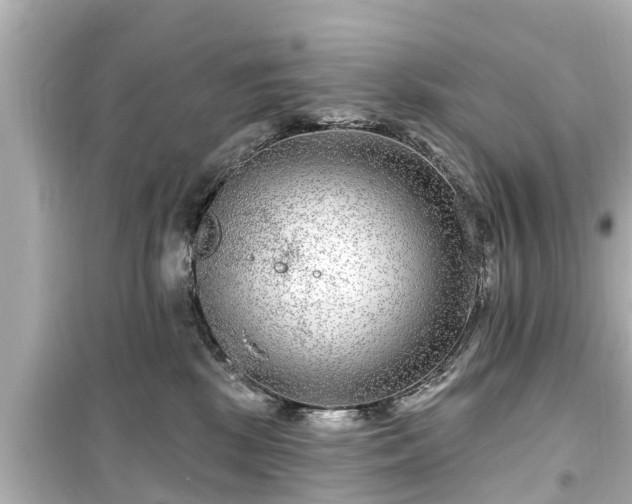 X0000099500281200805221407