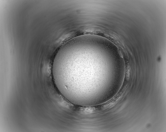 X0000099500282200805221407