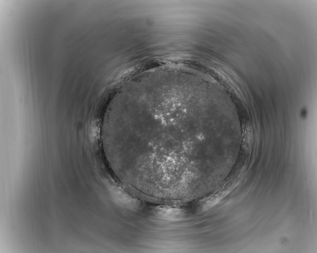 X0000099500284200805221407
