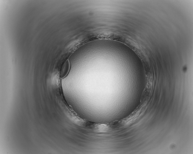 X0000099500287200805221407