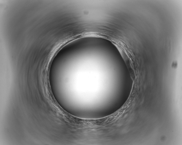 X0000099500289200805221407
