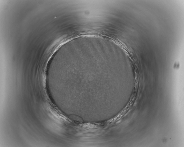 X0000099500290200805221407