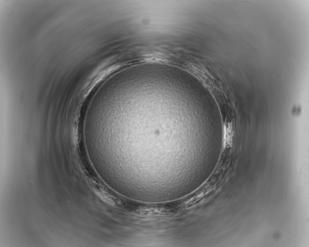 X0000099500291200805221407