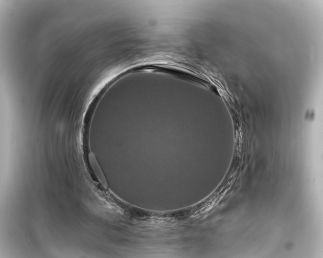 X0000099500292200805221406