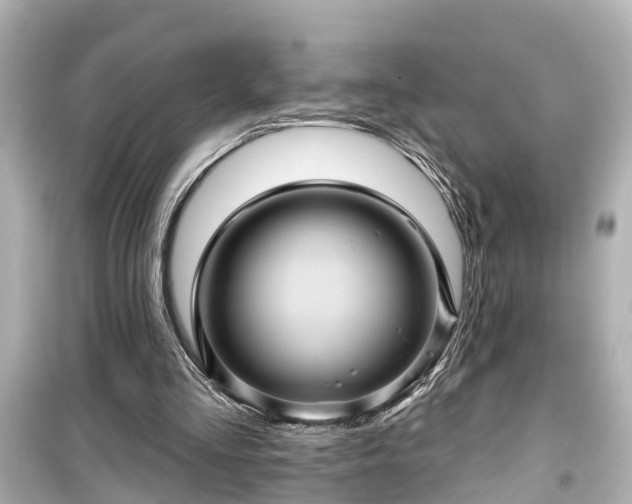 X0000099500293200805221406