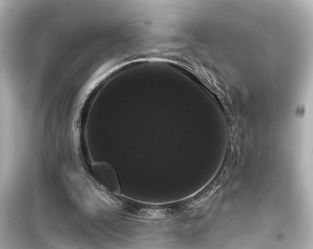 X0000099500295200805221406