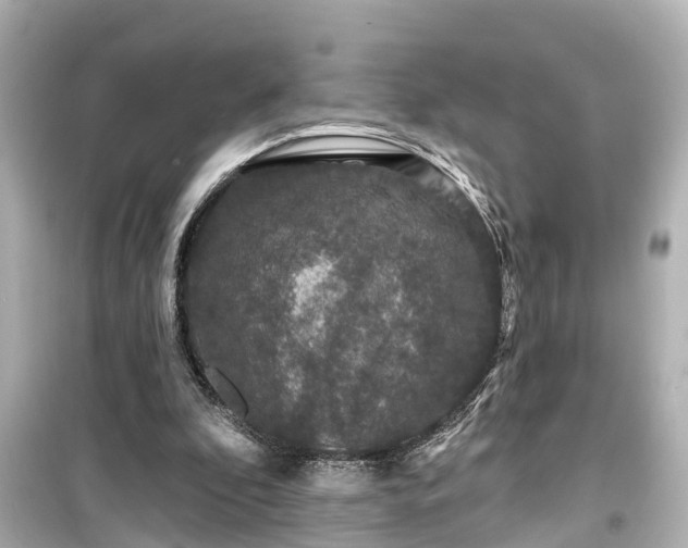 X0000099500296200805221406