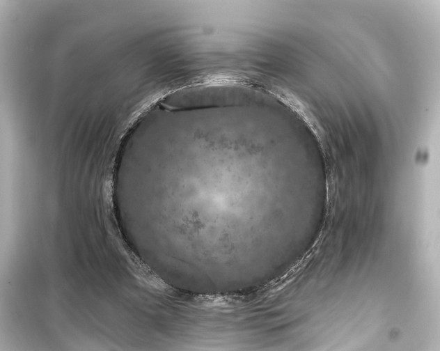 X0000099500297200805221406