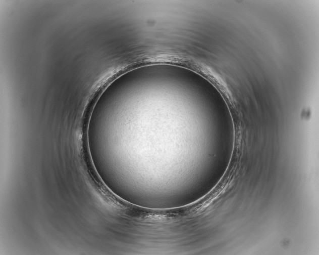 X0000099500298200805221406