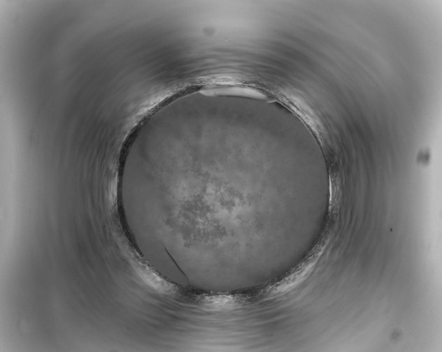 X0000099500301200805221406