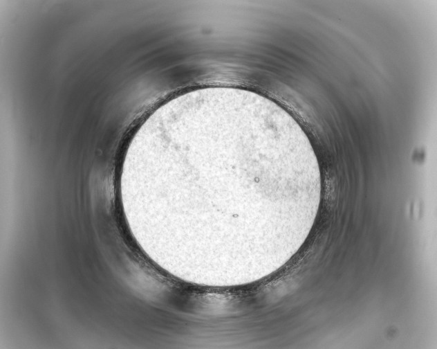 X0000099500302200805221406