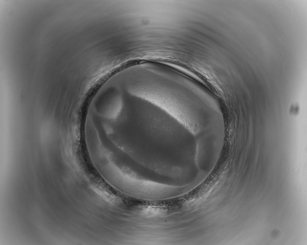 X0000099500303200805221406