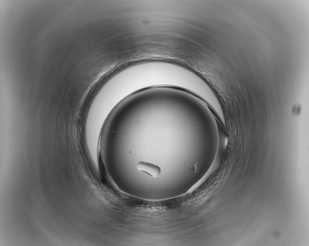 X0000099500304200805221406