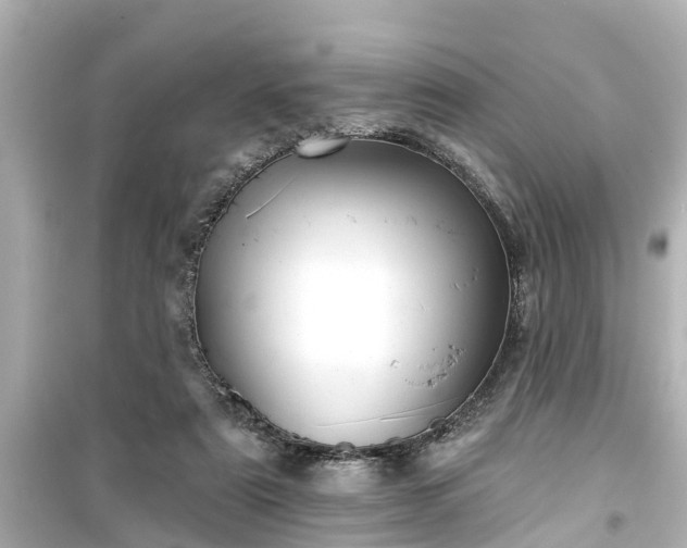 X0000099500307200805221406