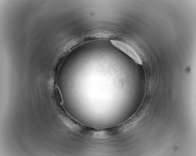 X0000099500309200805221406