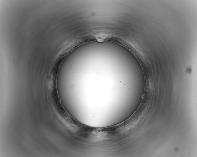 X0000099500311200805221406