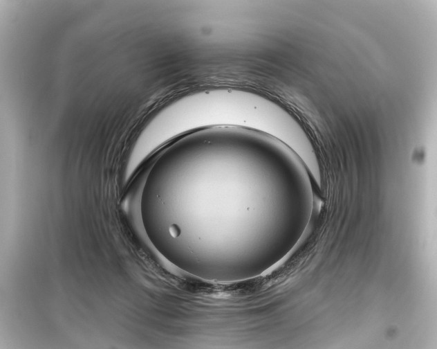 X0000099500312200805221406