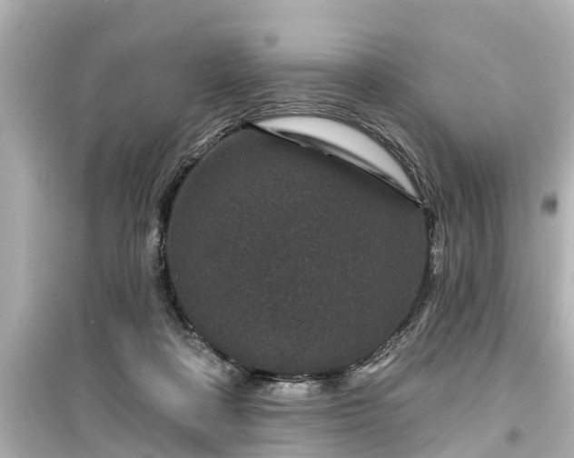 X0000099500314200805221406