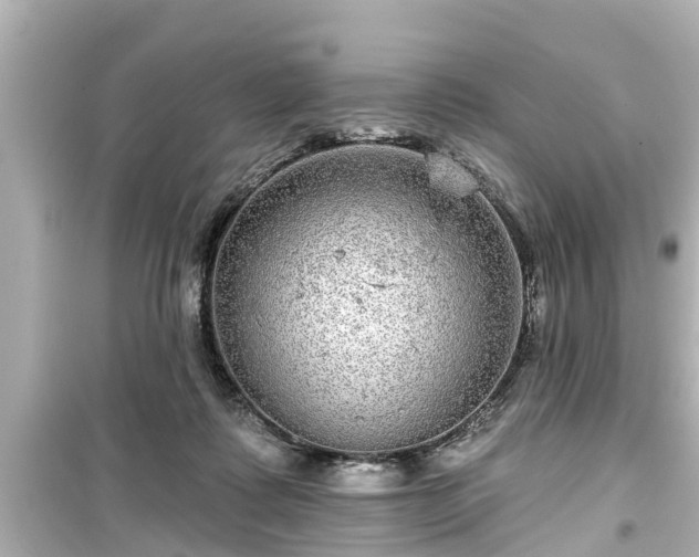 X0000099500315200805221406