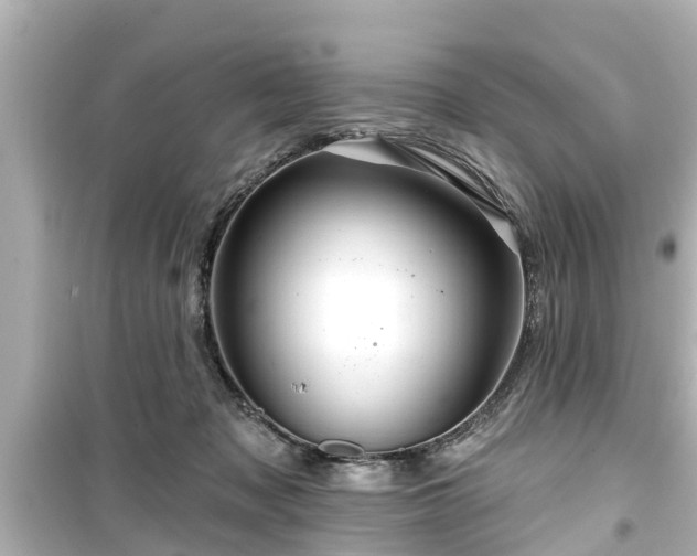 X0000099500317200805221406