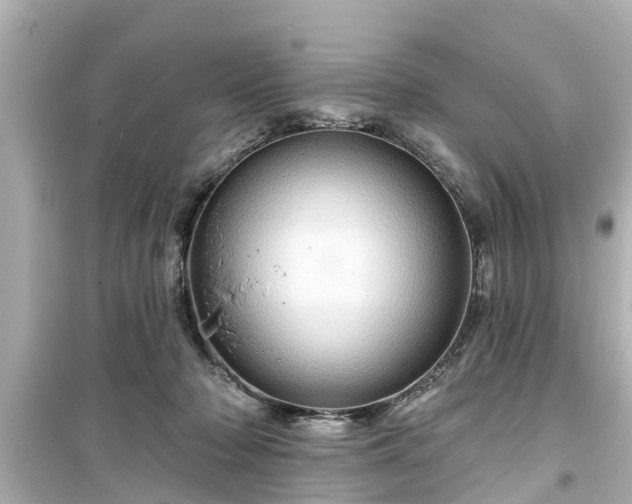 X0000099500318200805221406