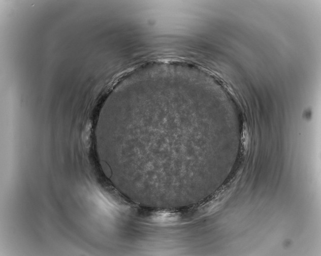 X0000099500319200805221406