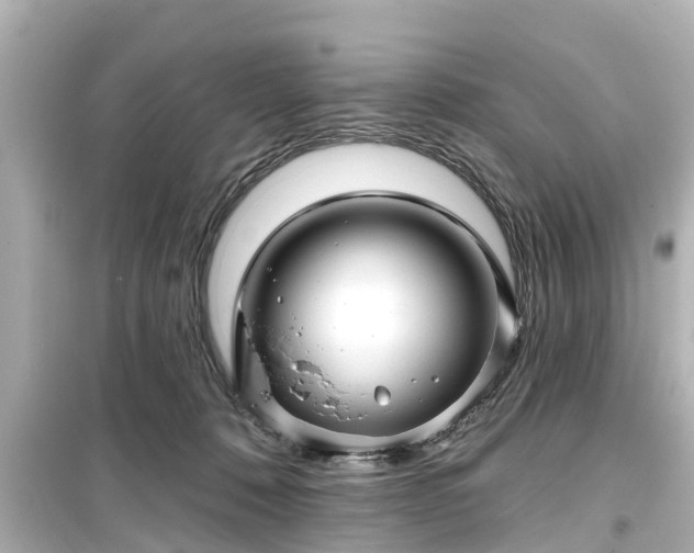 X0000099500320200805221406