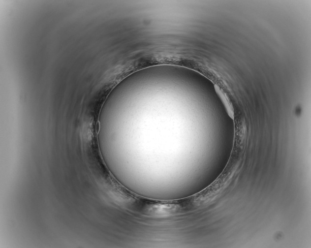 X0000099500323200805221406