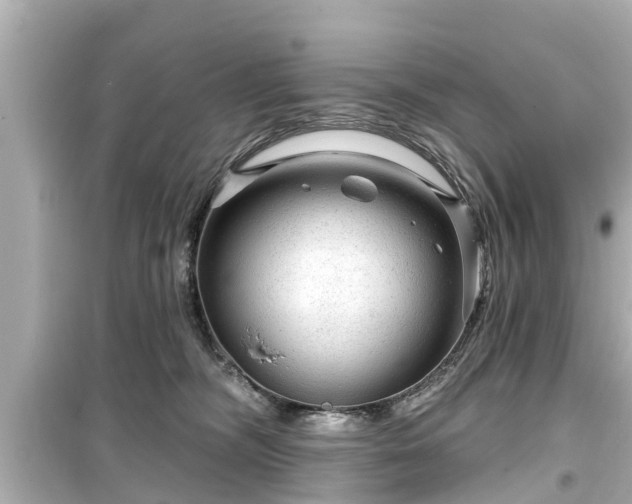 X0000099500326200805221406