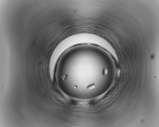 X0000099500328200805221406