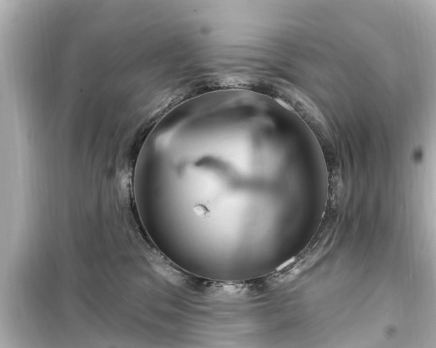 X0000099500329200805221406