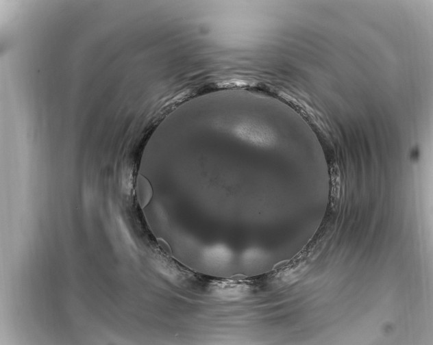 X0000099500331200805221406