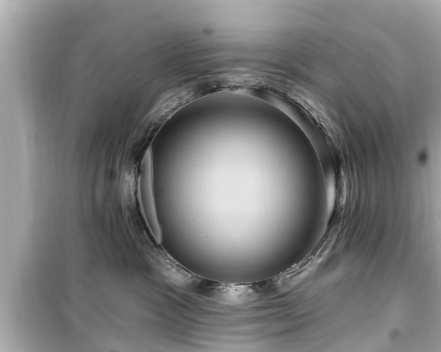 X0000099500333200805221406