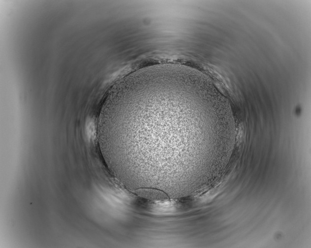 X0000099500335200805221406