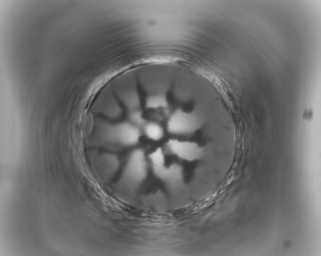 X0000099500337200805221405