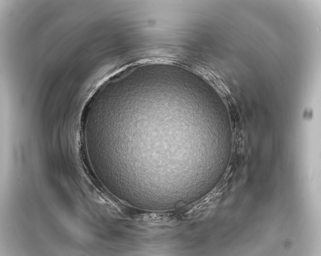 X0000099500338200805221405