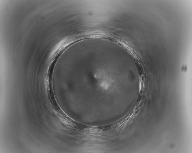 X0000099500339200805221405