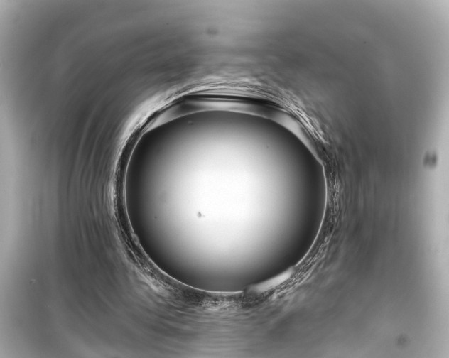 X0000099500340200805221405