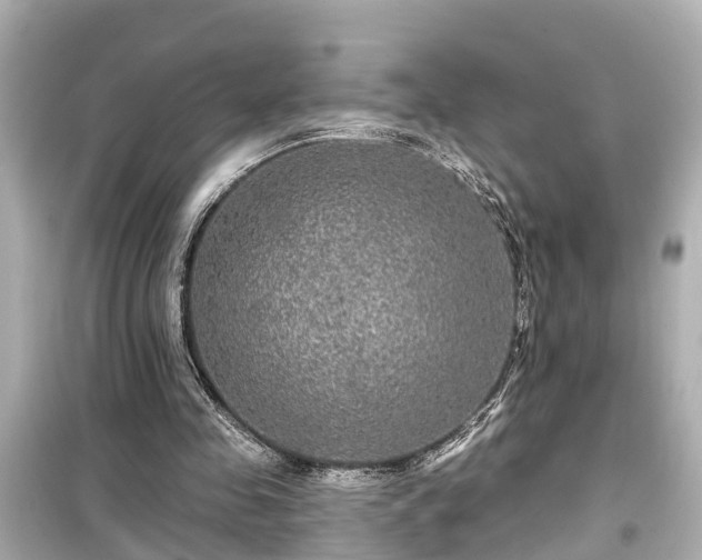 X0000099500341200805221405